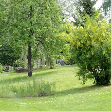 Reetdachhaus 