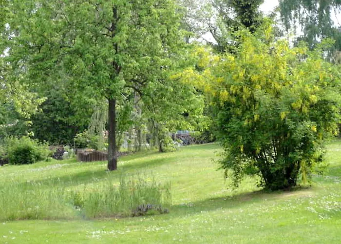Reetdachhaus 